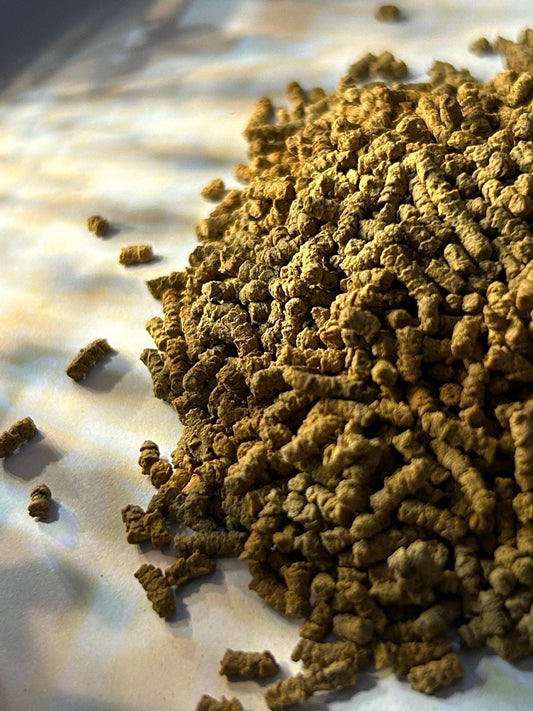 Buckwheat Tea Kuqiao - Gaba Tea House