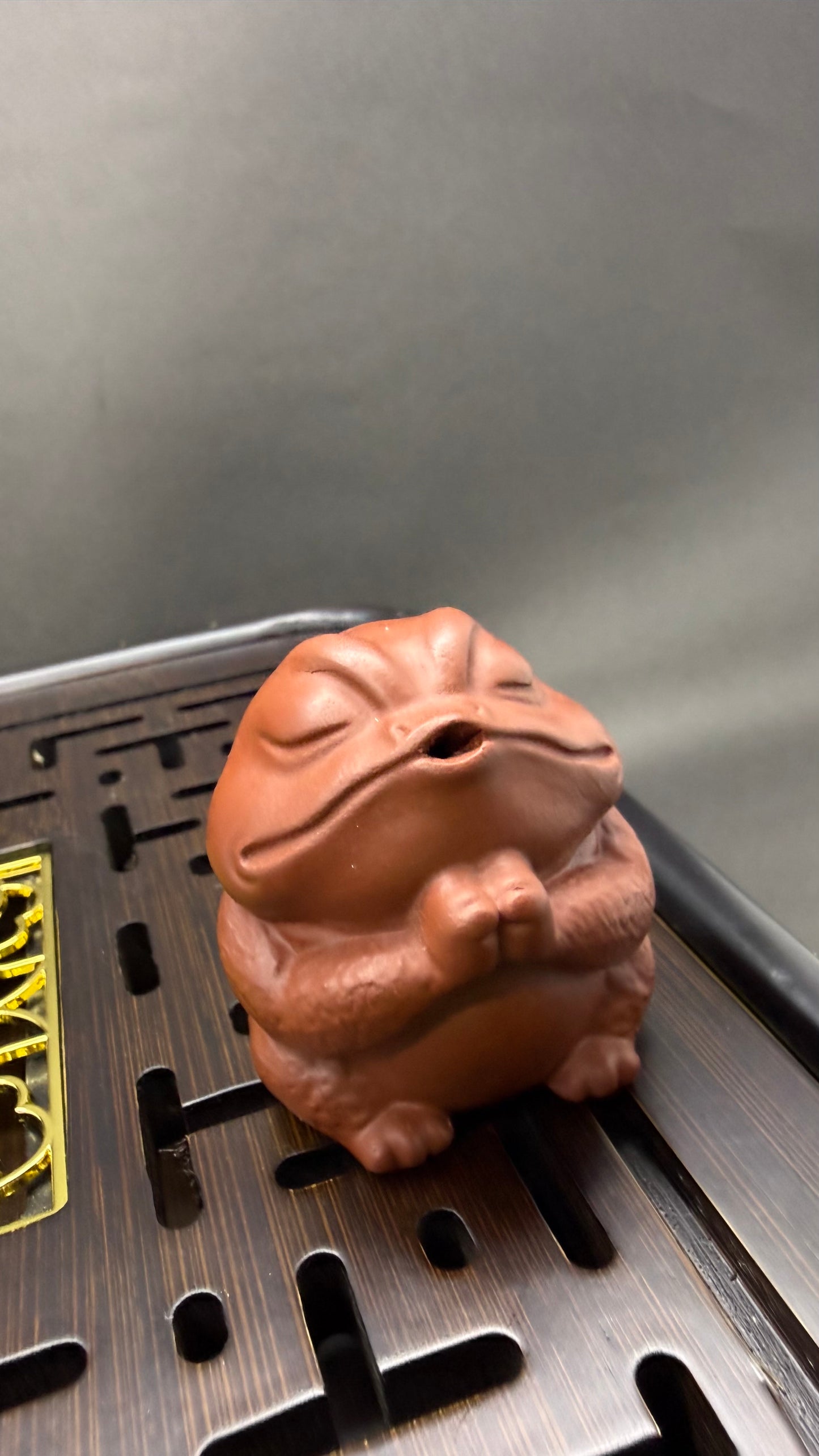 “Meditating frog tea figurine on tea tray”
