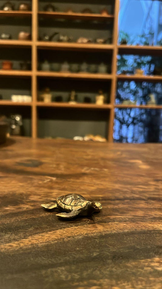 Timeless Voyage - Miniature Bronze Turtle
