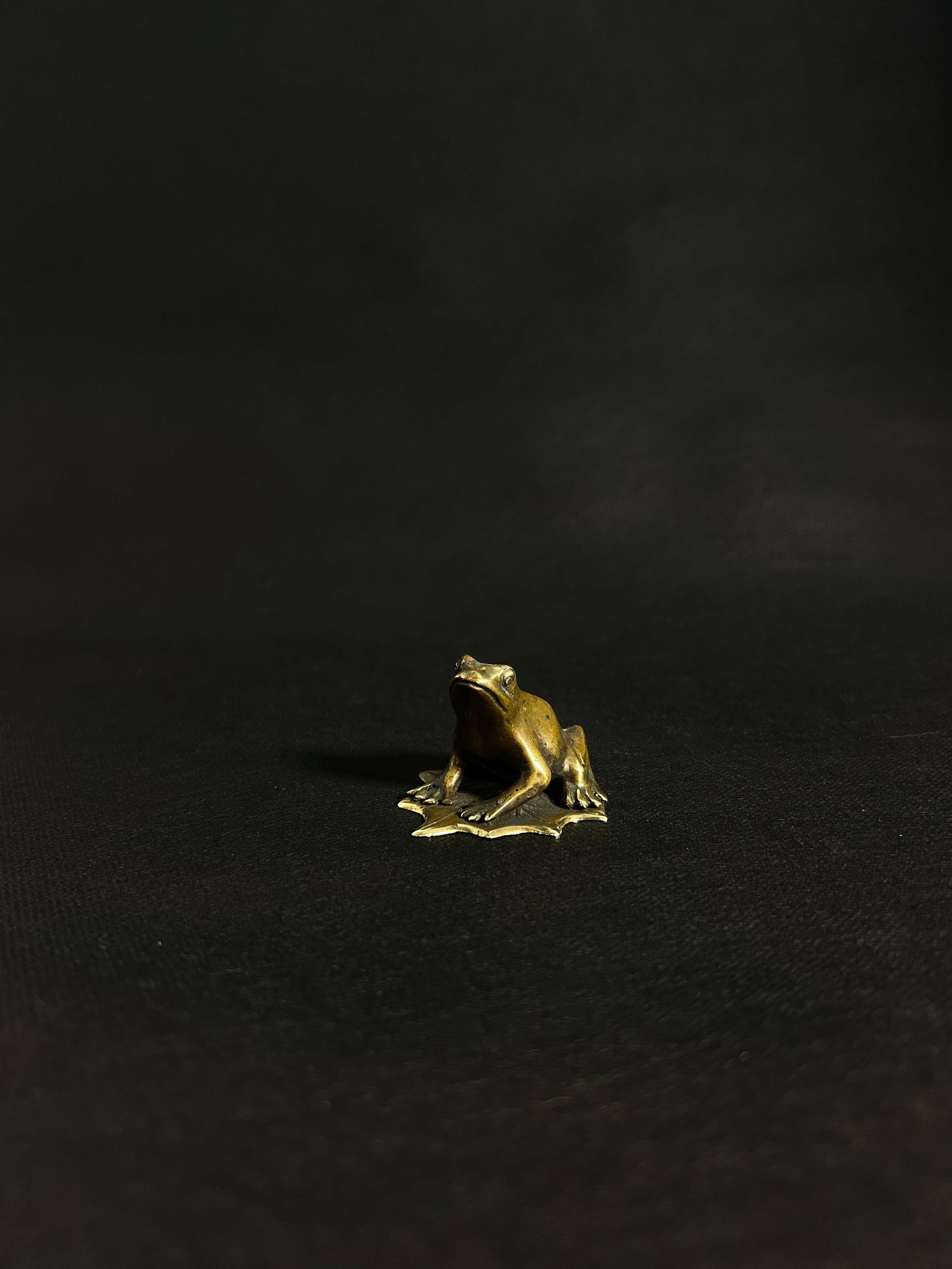 Brass Frog on Lotus - Gaba Tea House