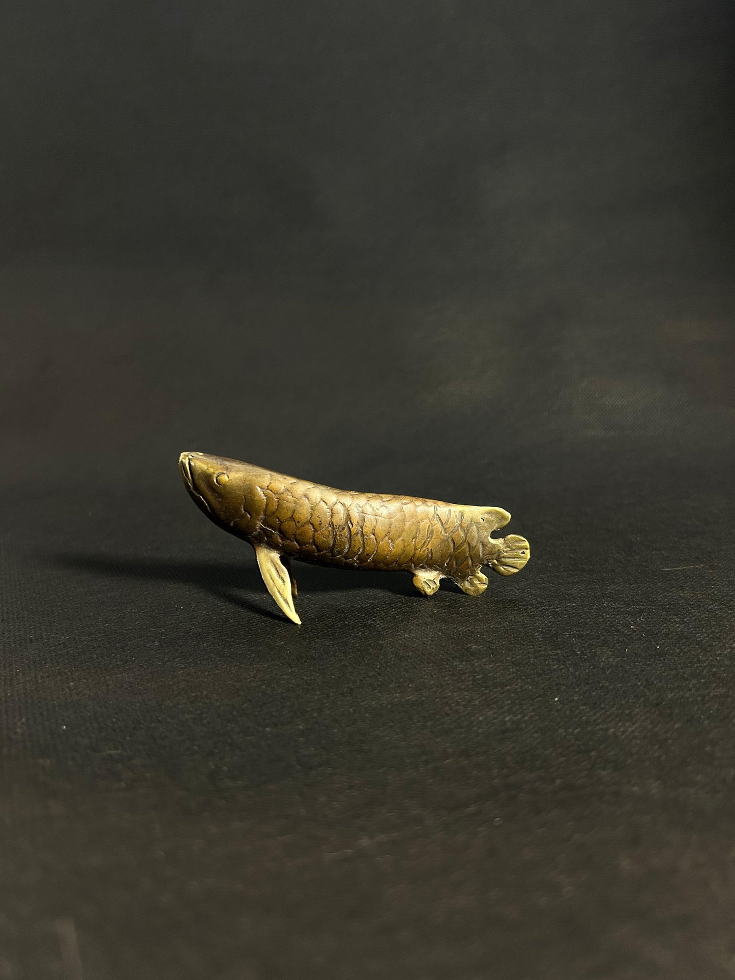 Brass Arowana Elegance - Gaba Tea House